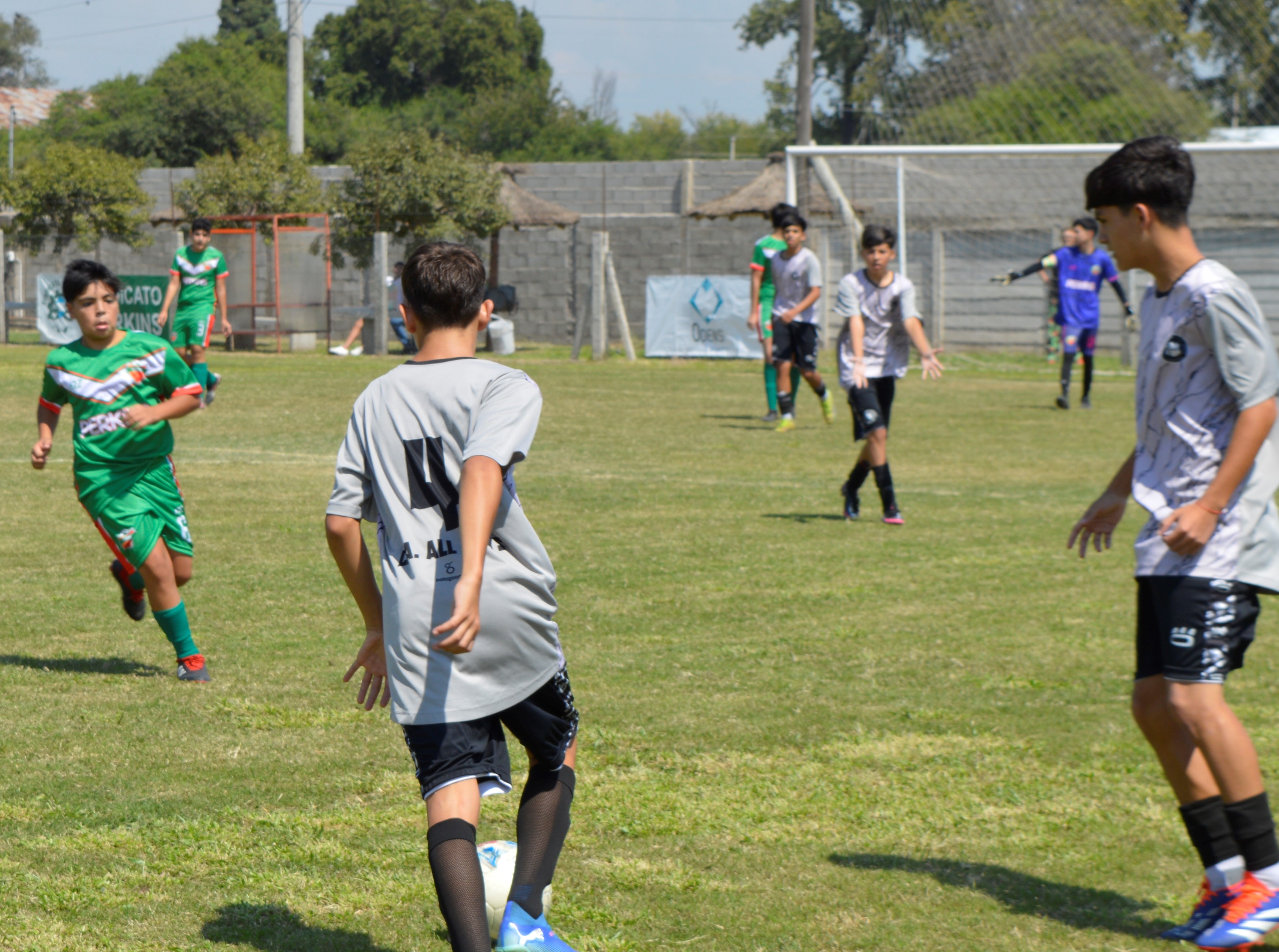 Imagen 2